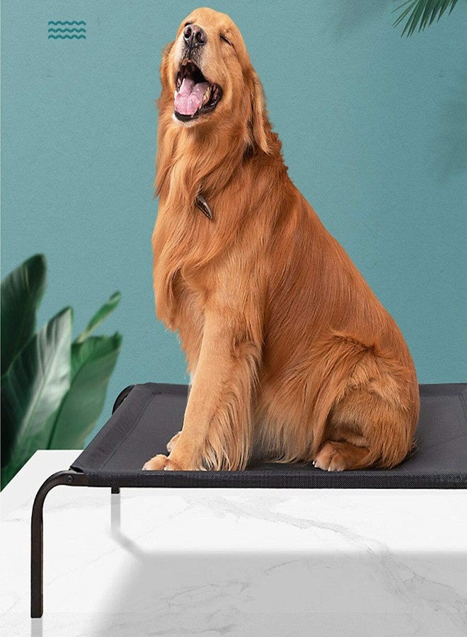 Fluffy's Dog Bed Pet Cat Raised Sides Camping Cot Indoor Outdoor Waterproof Black Small (S, Black) - Image 2